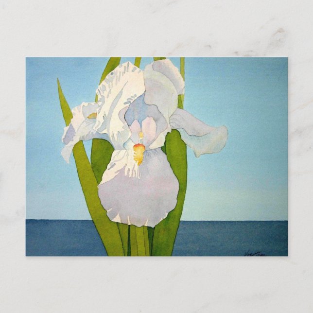 Carte Postale Iris blanc2 (Devant)