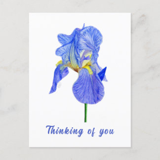 Carte postale Iris Bleu Pensant à Toi
