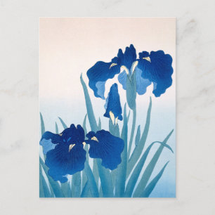 Carte Postale Iris bleus et sarcelles Merci