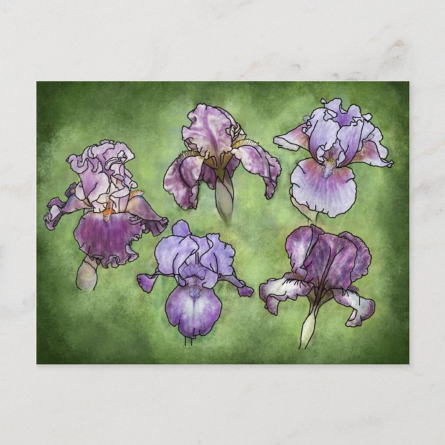 Carte Postale Iris en violet (Devant)