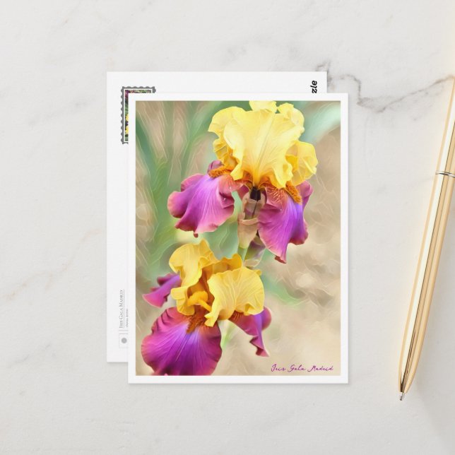 Carte Postale Iris Gala Madrid (Devant/Arrière en situation)