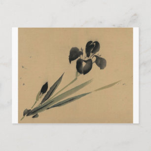 Carte Postale Iris japonais Ukiyo-e Art