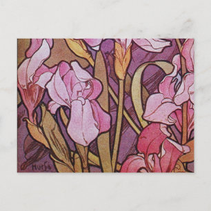 Carte Postale Iris pourpre