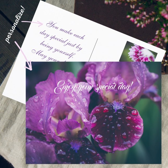 Carte Postale Iris pourpre après pluie (Créateur téléchargé)