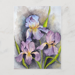 Carte Postale Irises