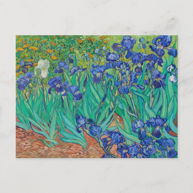 CARTE POSTALE "IRISES 1889" DE VINCENT Van Gogh (Devant)