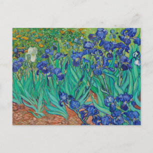 Carte Postale Irises 1889 par Vincent Van Gogh Fine Art Flowers