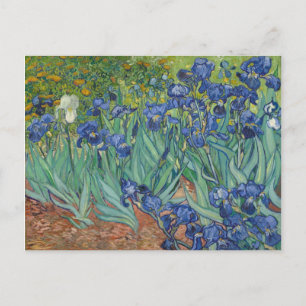 Carte Postale Irises bleu vert jaune Van Gogh