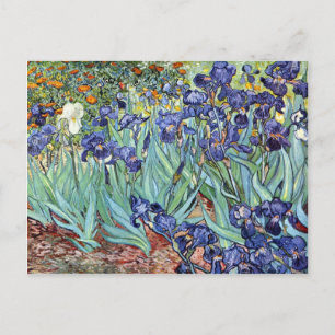 Carte Postale Irises by Vincent van Gogh 1898