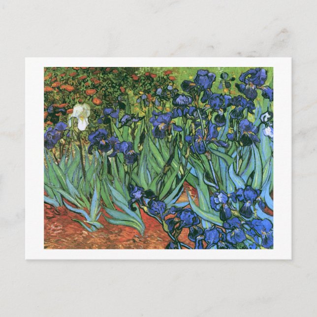 Carte Postale Irises (F608) Van Gogh Fine Art (Devant)
