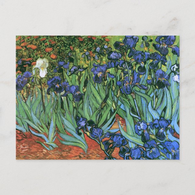 Carte Postale Irises (F608) Van Gogh Fine Art (Devant)