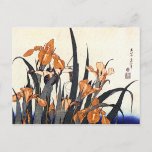Carte Postale Irises, Katsushika Hokusai