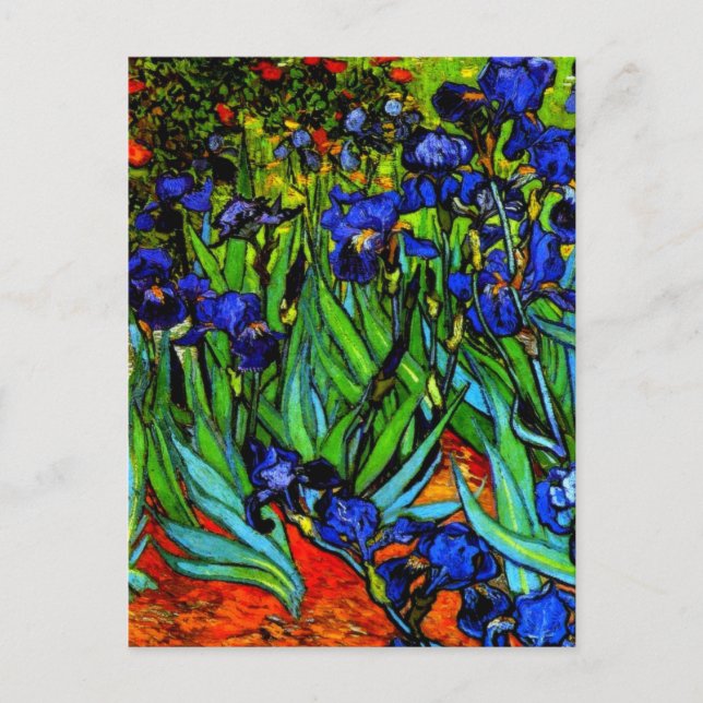 Carte Postale Irises, le célèbre tableau floral de Van Gogh (Devant)