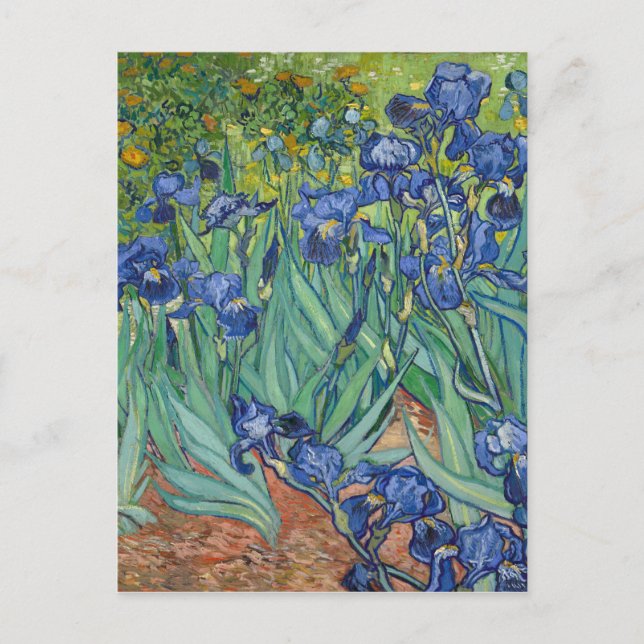 Carte Postale Irises par Van Gogh (Devant)