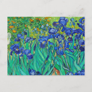 Carte Postale Irises par Vincent Van Gogh