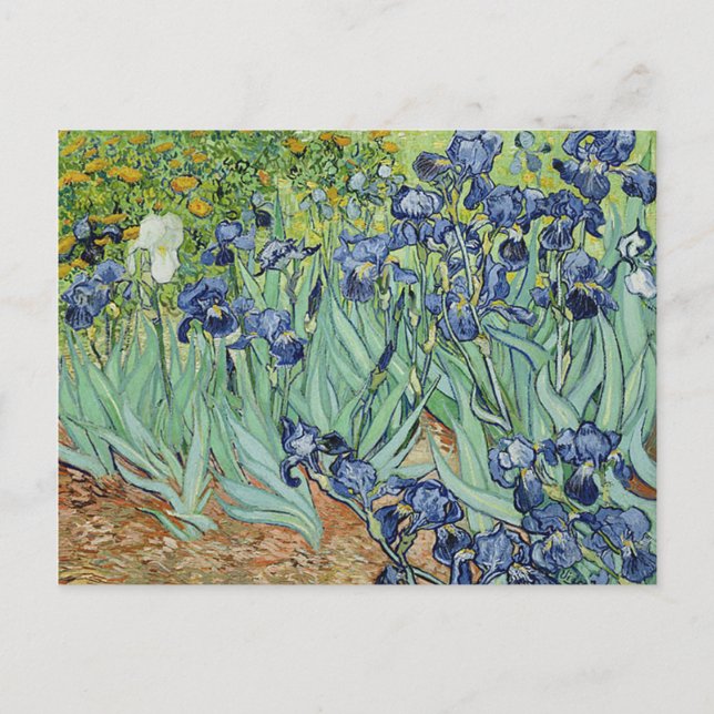 Carte Postale Irises par Vincent van Gogh (Devant)
