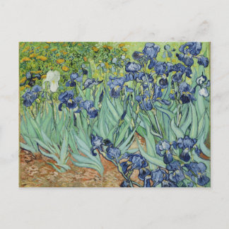 Carte Postale Irises - Van Gogh