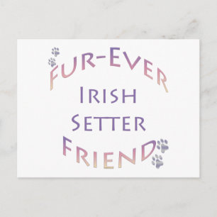 Carte Postale Irish Setter Furever