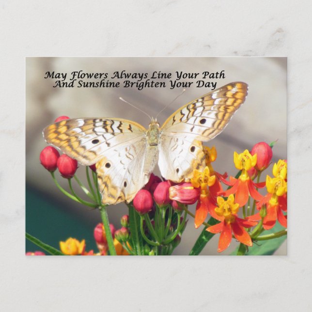 Carte postale irlandaise (Peacock blanc) (Devant)