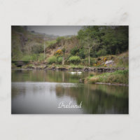 Irlande, Comté Cork, Lac, Cygnes, Photographie