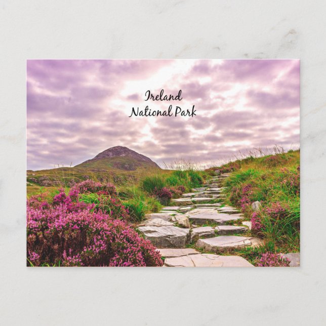 Carte Postale Irlande, Parc national (Devant)