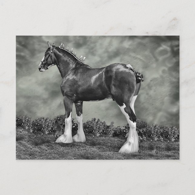 Carte Postale Iron Horse Steele (Devant)