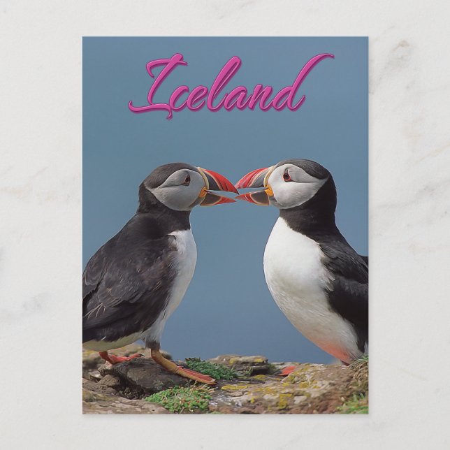 Carte Postale Islande (Devant)