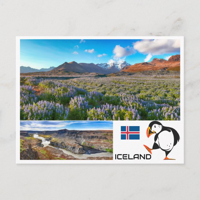 Carte Postale Islande (Devant)