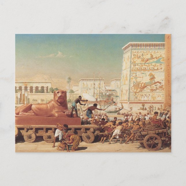 Carte Postale Israël en Egypte (Devant)