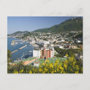 Carte Postale ITALIE, Campanie, (Baie de Naples), ISCHIA, LACCO