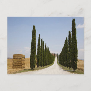 Carte Postale Italie. Toscane. Val D'Orcia (Vallée d'Orcia) 3