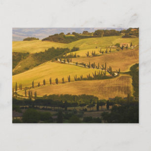 Carte Postale Italie, Toscane, ZigZag Road en Toscane.