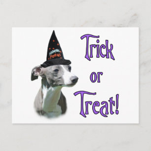 Carte Postale Italien Greyhound Trick