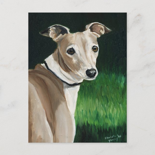 Carte postale italienne Greyhound Original Chien A (Devant)