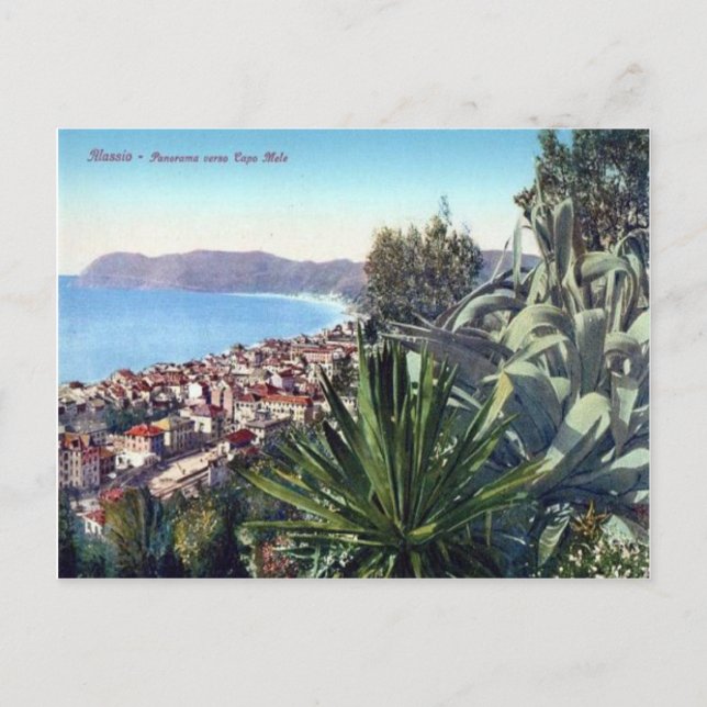 Carte Postale Italy, Alassio, Cactus on the hillside (Devant)