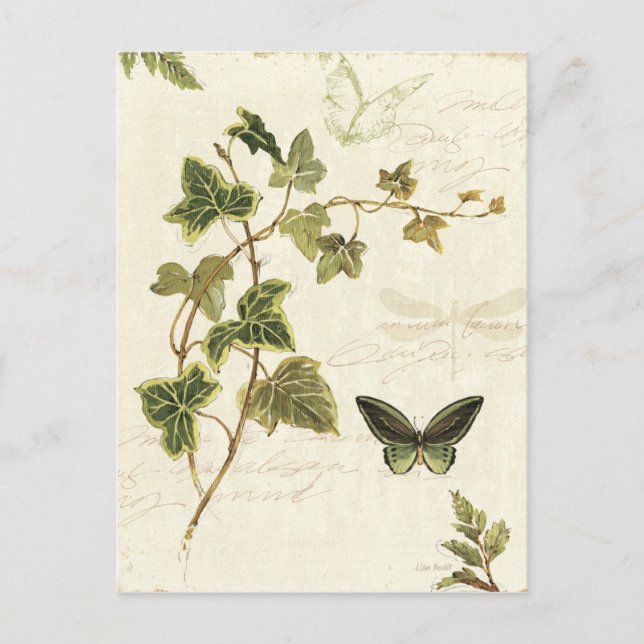 Carte Postale Ivies et papillons (Devant)