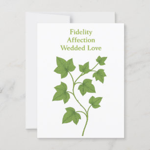 Carte Postale Ivy — Fidélité, affection, amour conjugal