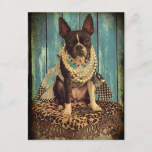 Carte Postale Ivy the Boston Terrier