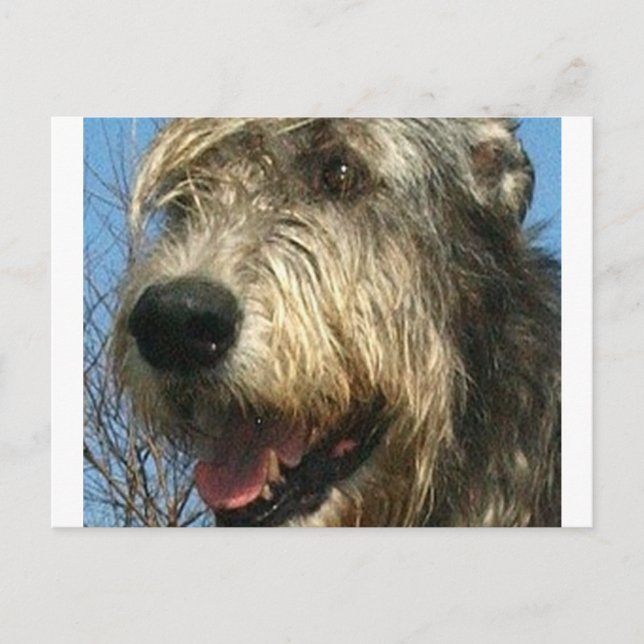 Carte Postale iw.png (Devant)