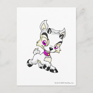 Carte Postale Ixi blanc