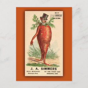 Carte Postale JA Simmers Seeds Vintage Ad