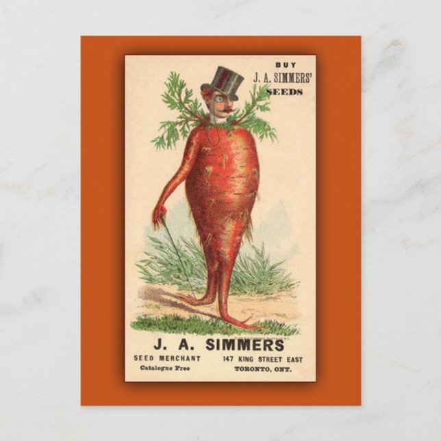 Carte Postale JA Simmers Seeds Vintage Ad (Devant)