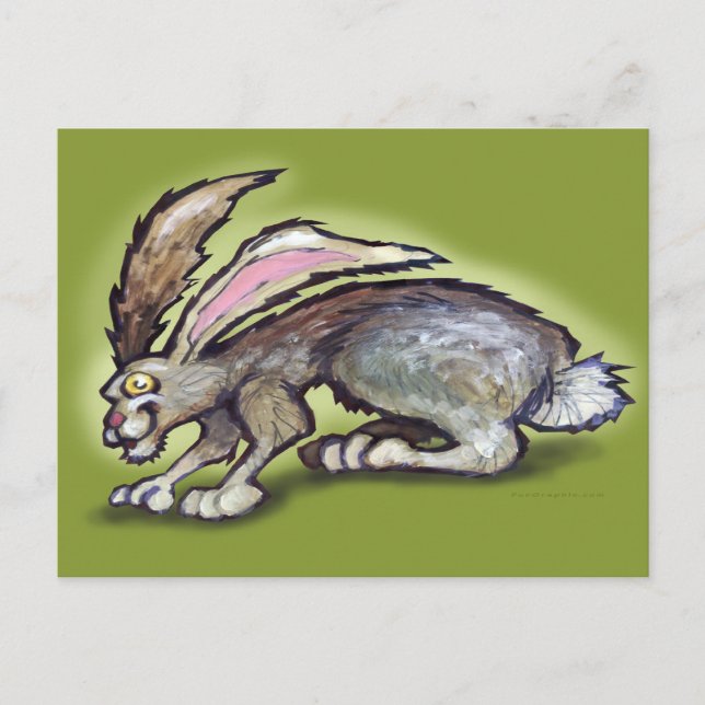 Carte Postale Jack Rabbit (Devant)