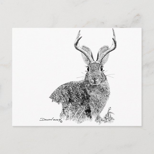 Carte Postale Jackalope (Devant)