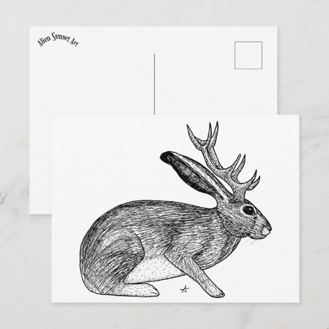 Carte Postale Jackalope (Devant / Derrière)