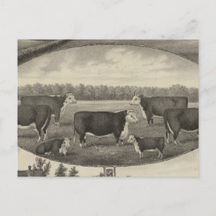 Carte Postale Jackson Farm, Kansas