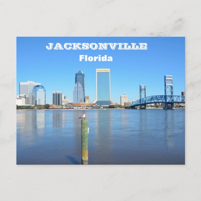 Carte postale Jacksonville, Floride Skyline (Devant)