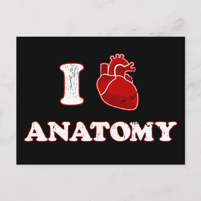 Carte Postale j'adore l'anatomie (Devant)