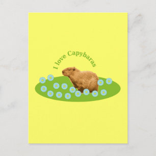 Carte Postale J'adore les capybaras