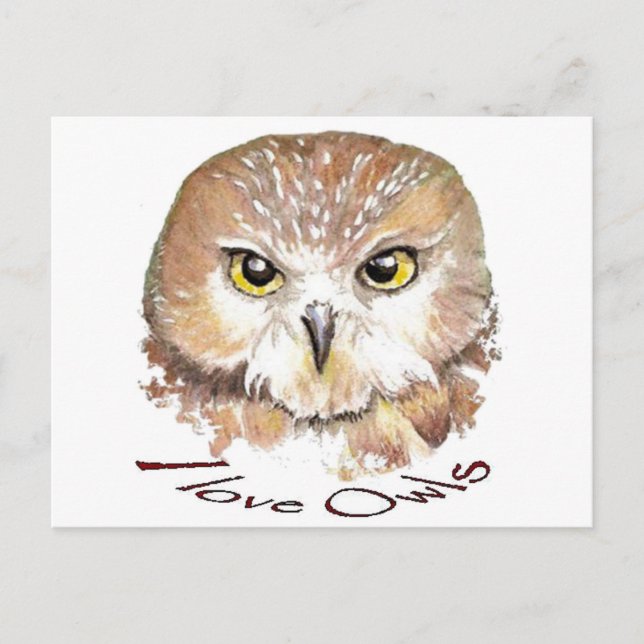 Carte Postale J'adore les hiboux, les oiseaux blancs (Devant)